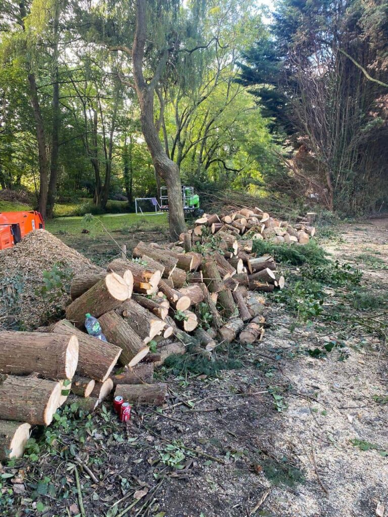 This is a photo of an overgrown large garden, which is in the process of having tree removal. The photo shows a stack of logs along the left hand side, from all the trees which are being removed. Photo taken by Stowmarket Tree Surgeons.