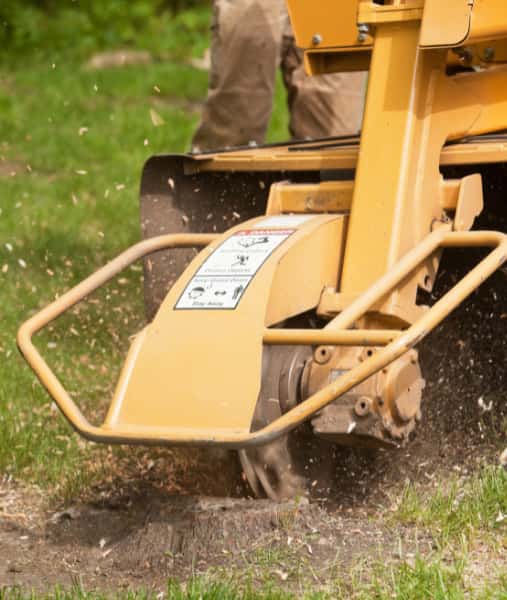 This is a photo of a stump grinding machine being used to remove a tree stump in a field. Photo taken by Stowmarket Tree Surgeons.