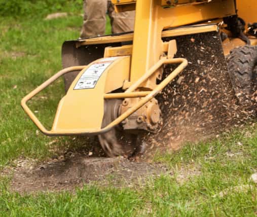 This is a photo of a stump grinding machine being used to remove a tree stump in a field. Photo taken by Stowmarket Tree Surgeons.