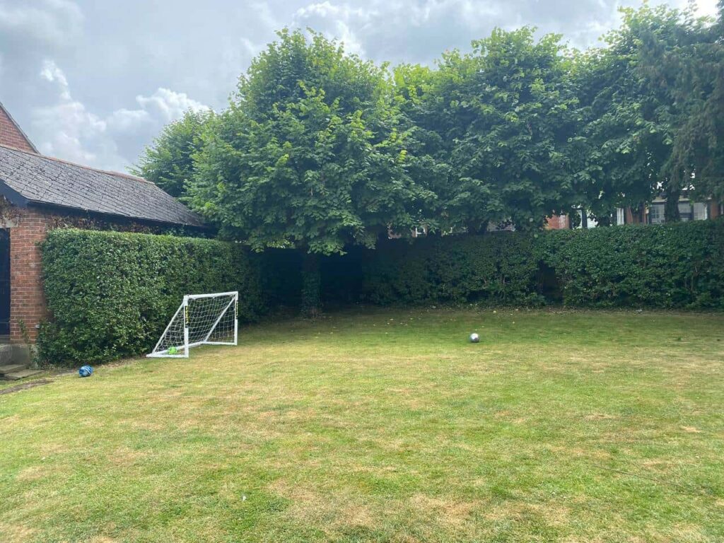 This is a photo of a hedge that has just been trimmed in a garden. The hedge is about 8 Metres long and runs along the back and left hand side of the garden iteslf. There are also trees in the background, and a house. Photo taken by Stowmarket Tree Surgeons.